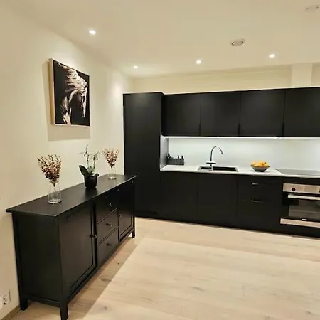 Koselig Enderekkehus I Nybygg! Appartement Bergen